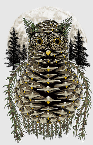 Pinecone Owl: Yeah Right